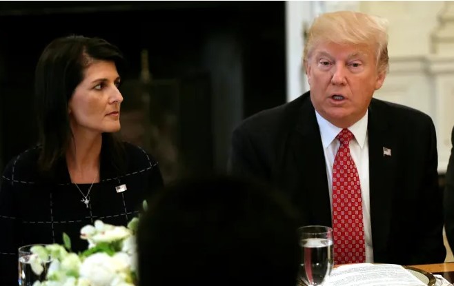 haley and trump